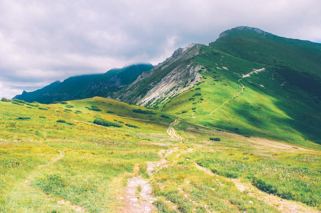 Photo Mountain trail